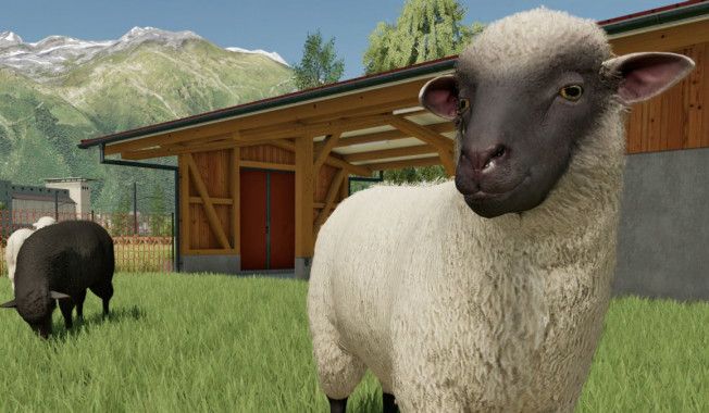 Infinite money in Farming Simulator 22