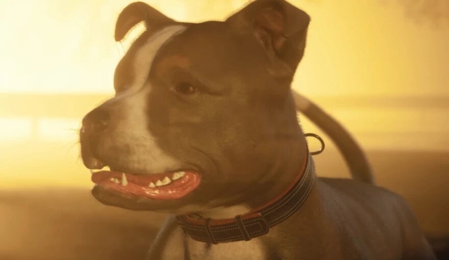 How to save Connie the dog in The Devil in Me