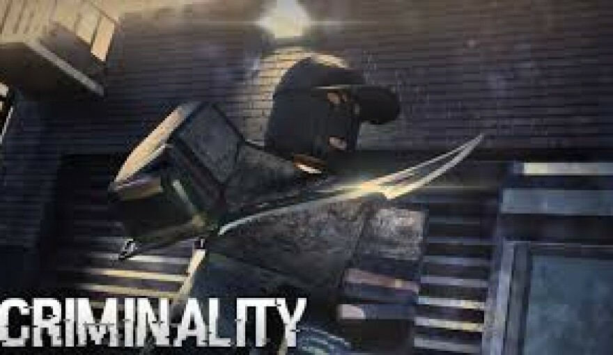 Criminality Codes — May 2025
