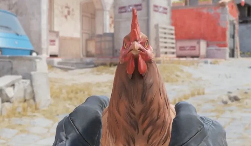 В Counter-Strike 2 можно будет гладить куриц